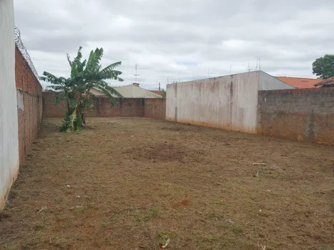 Alugar Terreno / Padrão em Araçatuba. apenas R$ 170.000,00