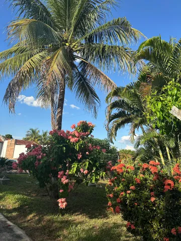 Rural / Rancho em Santo Antônio do Aracanguá , Comprar por R$Consulte-nosAlugar por R$(L) 0,00