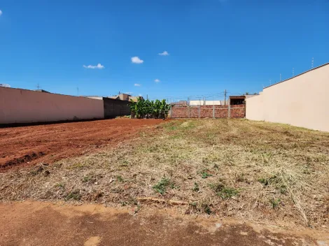 Terreno / Padrão em Araçatuba , Comprar por R$Consulte-nosAlugar por R$(L) 0,00