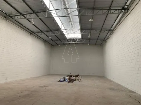 Alugar Comercial / Salão em Araçatuba. apenas R$ 3.500,00