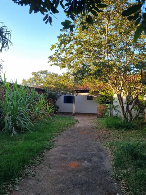 Alugar Casa / Residencial em Araçatuba. apenas R$ 500,00
