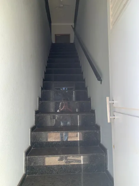 Alugar Casa / Sobrado em Araçatuba. apenas R$ 2.500,00